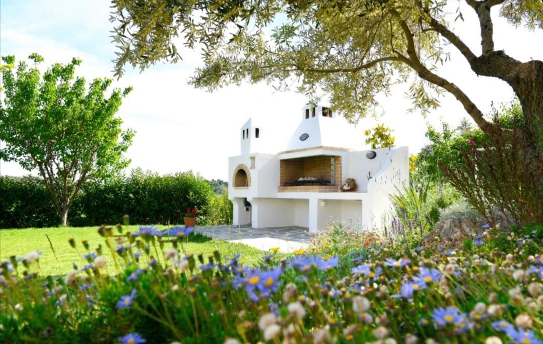 Anemi Superior Deluxe Suite Κολιός Εξωτερικό φωτογραφία
