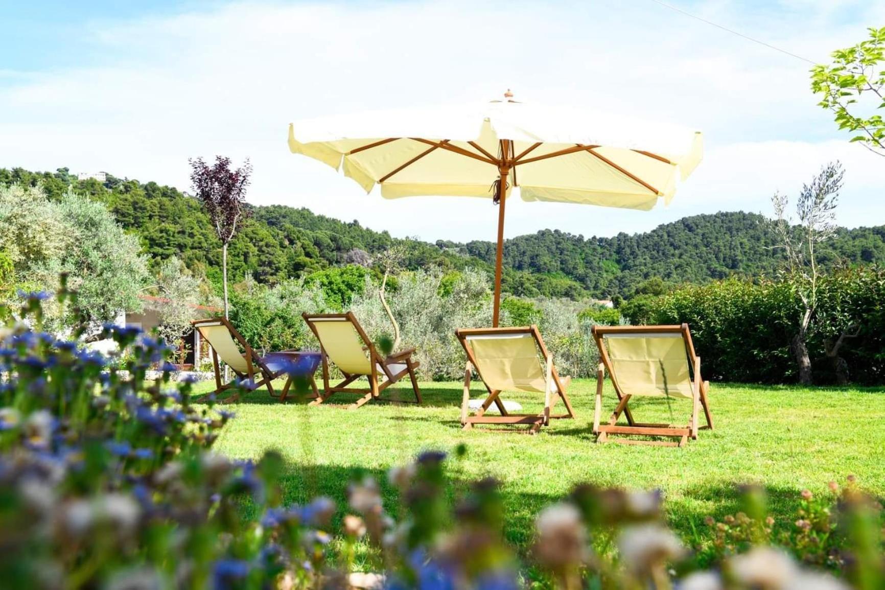 Anemi Superior Deluxe Suite Κολιός Εξωτερικό φωτογραφία